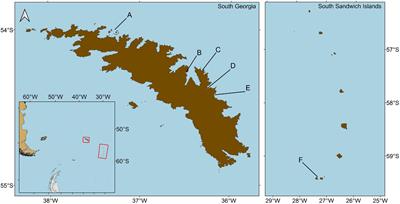 Developing UAV Monitoring of South Georgia and the South Sandwich Islands’ Iconic Land-Based Marine Predators